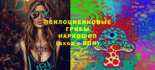 дмт Богданович