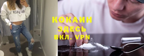 дмт Богданович
