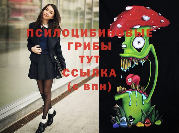 spice Белоозёрский