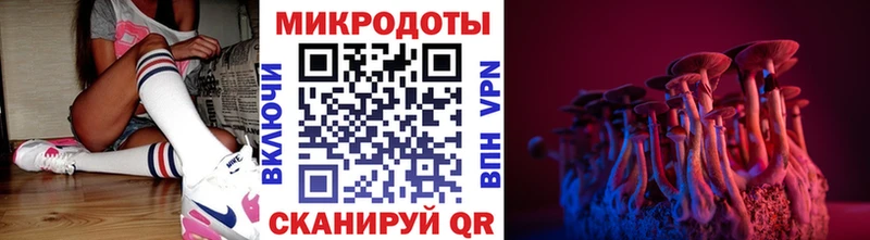 площадка официальный сайт  Вяземский  Псилоцибиновые грибы MAGIC MUSHROOMS  где купить  